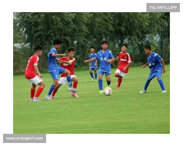 大型足球赛事对主办地经济的拉动效应分析